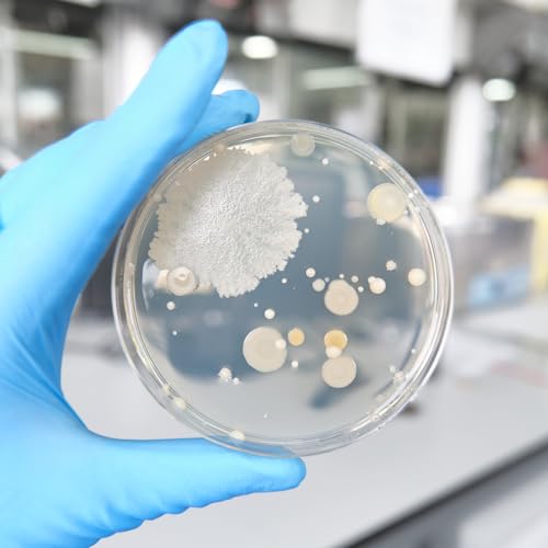 stonylab Plastic Petri Dishes 10 Pack with Transparent Lids, Disposable Laboratory Culture Dishes, Diameter 3.54 in, Height 0.59 in
