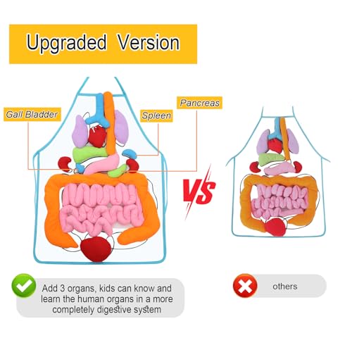 vocheer 3D Organ Apron, Anatomy and Physiology Human Body Model for Kids
