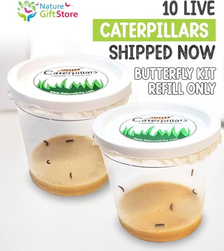 10 Live Caterpillars for Butterfly Kits, Refill with Food, Rearing Supplies - style: 10 Live Caterpillars + Supplies
