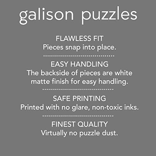 Galison Gray Malin Cinque Terre 1000 Piece Puzzle, Collector Book Box - color: Cinque Terre