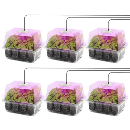 MIXC 6 Pack Seed Starter Kit with Grow Light, Humidity Dome, Transparent - color: Transparent, size: 12 Cells With Light-6 Packs