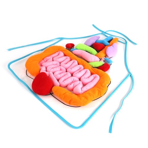 vocheer 3D Organ Apron, Anatomy and Physiology Human Body Model for Kids