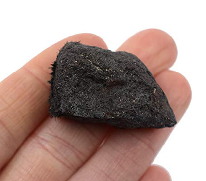 EISCO 6PK Raw Lodestone, Mineral Specimens - Approx. 1" - Geologist Selected & Hand Processed - Great for Science Classrooms - Class Pack