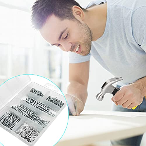 376pcs Hardware Nails Assortment Kit with 8oz Small Claw Hammer, Mini Hammer with Anti-Slip Handle, Maximum Length 2 Inches, Finishing Nails for Hanging Pictures, Household & DIY