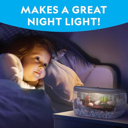 National Geographic Light-Up Dinosaur Terrarium Kit for Kids Ages 6+ - style: Large Dino Habitat
