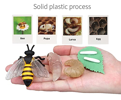 Montessori Life Cycle Animal Figurines Learning & Education Toys, Plastic Insect Life Cycle Toys for Kids, Preschool Learning Activities (Plant Bee Ant) - color: Plant Bee Ant