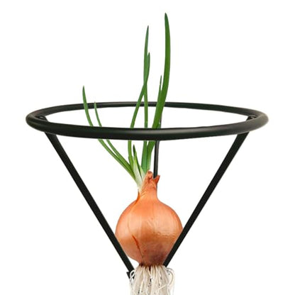 Avocado Growing Holder, Triangular Plant Propagation Bracket, Avocado Root Propagation Rack, for Home Landscape Garden Living Room Bedroom Balcony Backyard Patio Greenhouse - color: Black