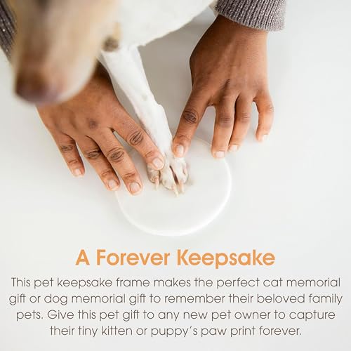 Pearhead Pet Paw Print Photo Frame and Clay Imprint Kit, Distressed Gray - color: Distressed Wood Pawprint Desk Frame