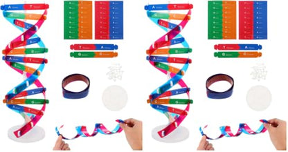 NUOBESTY DNA Model Kit Double Helix Structure Model, 13 in Assembling Biology Teaching Aid with Stand, Color-Coded Base-Pairing A-T G-C, STEM Classroom Science Fair Display for Ages 12+ (Pack of 2) - size: 37.00X11.60X11.60CM (Pack of 2)