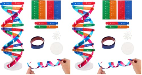NUOBESTY DNA Model Kit Double Helix Structure Model, 13 in Assembling Biology Teaching Aid with Stand, Color-Coded Base-Pairing A-T G-C, STEM Classroom Science Fair Display for Ages 12+ (Pack of 2) - size: 37.00X11.60X11.60CM (Pack of 2)