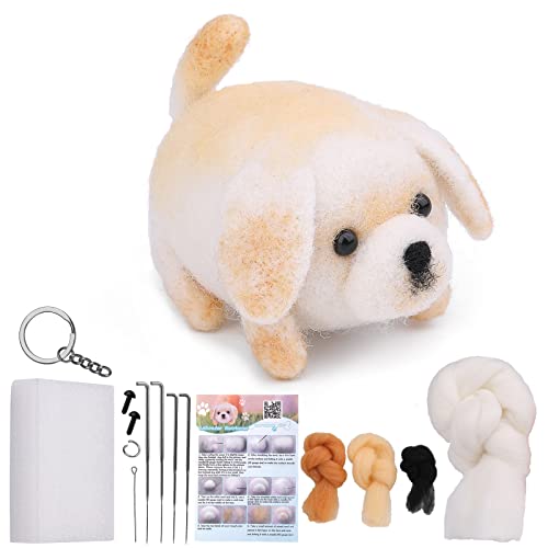 QMNNMA Needle Felting Kit for Beginners, Labrador Wool Felting Kit - size: Labrador
