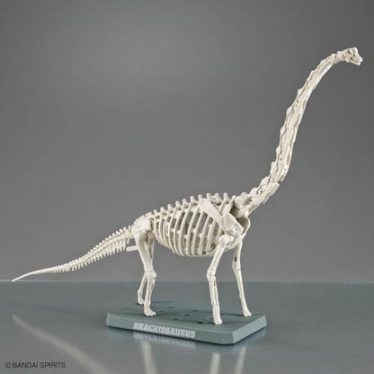 Bandai Hobby - Plannosaurus - #10 Brachiosaurus Dinosaur Model Kit