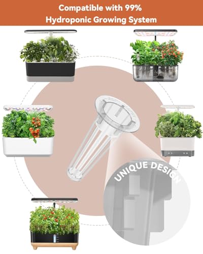Veggies Seeds Pod Kit Compatible with AeroGarden Hydroponic Growing System - color: Veggies, size: 8-pods