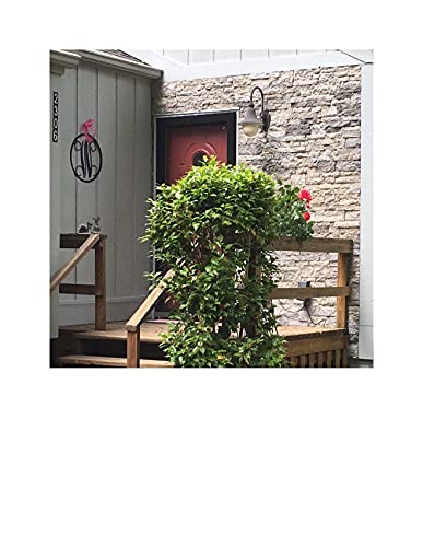 AirStone Primary Stones, Spring Creek Color Blend, Manufactured Stone - color: Gray Tones, size: Primary