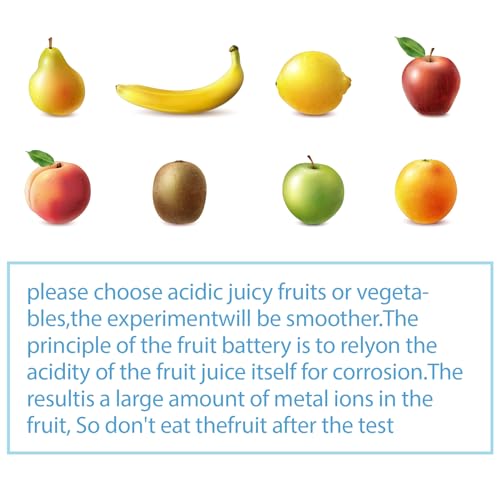 Sntieecr Fruit Battery Science Experiment Kit with Instruction - style: Fruit Battery Science Kit