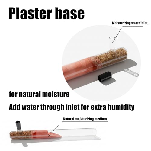 Formicarium Ant Habitat with Test Tubes for Insect Observation03
