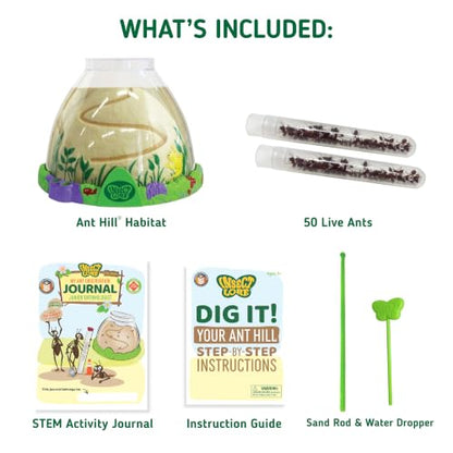 Insect Lore Ant Hill with Live Ants – Ant Habitat Kit with 50 Live Ants Included – STEM Educational Kit for Home or Classroom Observation