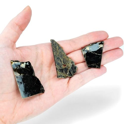 EISCO Biotite Mica Specimen (Mineral), Approx. 1" (3cm) - Pack of 12