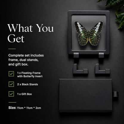 1pc Real Butterfly Specimen PE Film Suspension Box Elegant Black Frame Keepsake for Nature Lovers Scientific Specimen Display (Parthenos Sylvia Butterfly) - color: Parthenos Sylvia Butterfly