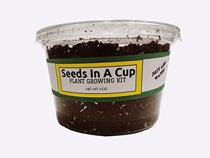Seeds in A Cup - Plant Growing Kit (Carrots) - style: carrots
