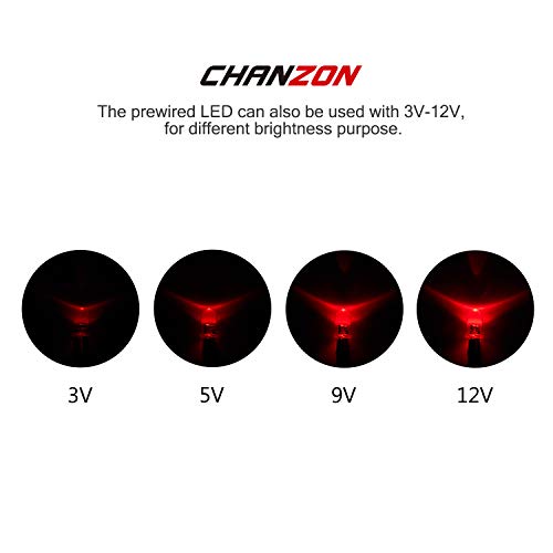 CHANZON 20 pcs Pre-Wired 5mm Red LED Diode Lights (DC 12V) - color: C) Red (20pcs)