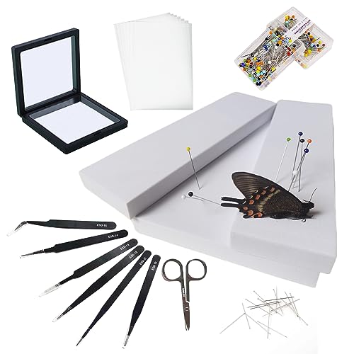 Butterfly Specimen Kit Includes pins, mounting Board, Spreading Tools, Display case, Labels, Forceps, Preserving and showcasing Butterfly specimens. (Insect Specimen Tools Kit)