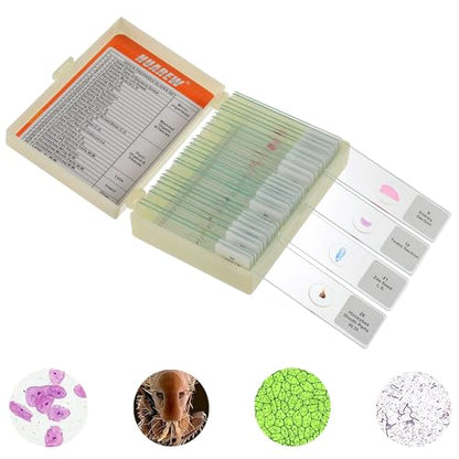 30 Pcs Microscope Slides with Specimens, Glass Prepared Slides Set
