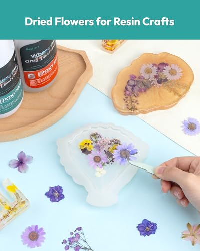 Dried Flowers, Resiners 100Pcs Pressed Flowers for Craft Purple Real Natural Dried Flowers Dry Leaves Kit for DIY Making Crafts Resin Soap Candle Scrapbook Supplies Card Making Jewelry - color: Violet 100pcs