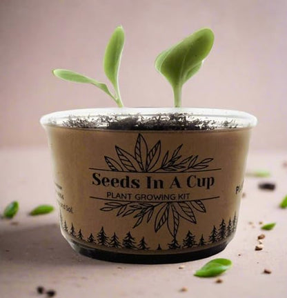 Seeds in A Cup - Plant Growing Kit (Broccoli) Made in USA - style: BROCCOLI