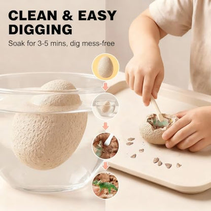 Dino Eggs Dig Kit, 36 Pack Dinosaur Eggs Excavation Science Experiments Kits for Kids 4-12, Dinosaur Toys for 3 4 5 6 7 8 9 10 Year Old Boys Girls - size: Normal (Pack of 3)