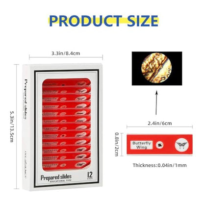 60pcs Prepared Microscope Slides for Kids, Microscope Specimen Slides with Plants Insects for Biology and Science Study, Microscope Accessories Slides Set for Kids - size: 60pcs