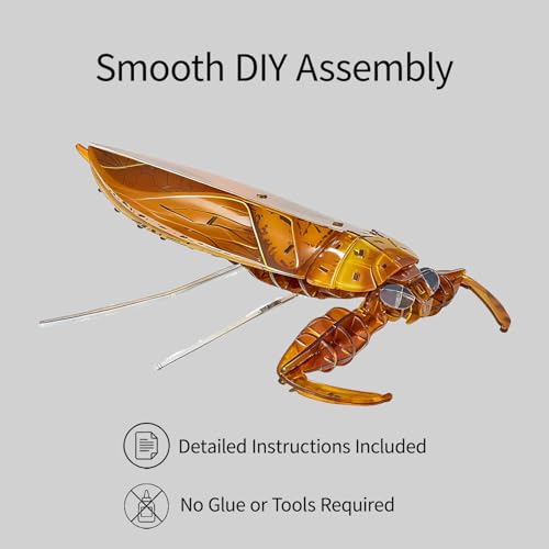 3D Acrylic Insect Puzzle DIY Bug Model Kit Animal STEM Gift - color: Giant Water Bug