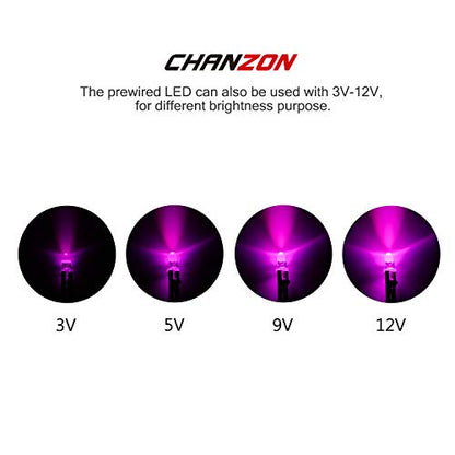 CHANZON 20 pcs Pre-Wired 5mm Pink LED Diode Lights (DC 12V) - color: I) Pink(20pcs)