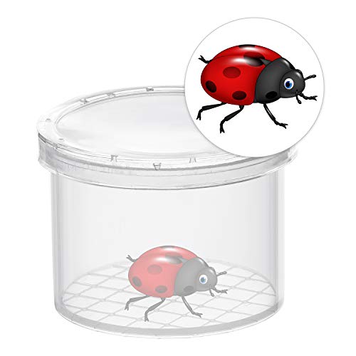 Coopay 80 Pieces Bug Viewer Critter Insect Cage Magnifying Insect Box Bug Magnifier Container Catcher Cage, Science Nature Exploration Tools - style: 80 Pack