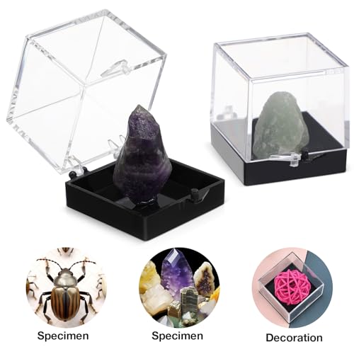 Mineral Specimen Storage Boxes 24-Pack Clear Plastic Display Cases 2.75X1.37X1.37In Rock Collection Organizer for Collectibles and Crystal Display