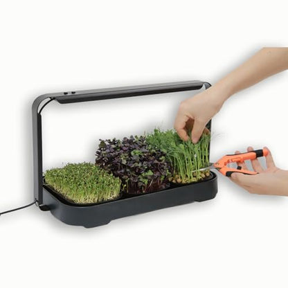 Microgreens Growing Trays Bundle, Grow Lamp, 6 Silicone Trays,18 Jute Mats, Microgreens Growing Kit, Seed Sprouting & Indoor Grow Accessories (No Seeds)