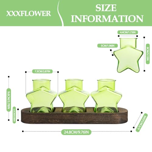 XXXFLOWER Plant Propagation Station with Wooden Stand 3 Green Star Jars - color: Green