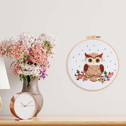 Louise Maelys Cute Owl Embroidery Kit for Beginners Animal DIY - color: Color 24