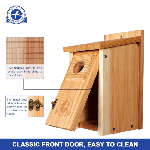 SISTERBIRD 2 Pack Blue Bird Houses for Outdoors, Warming Gifts Bird House - color: Burly Wood -- 2PK