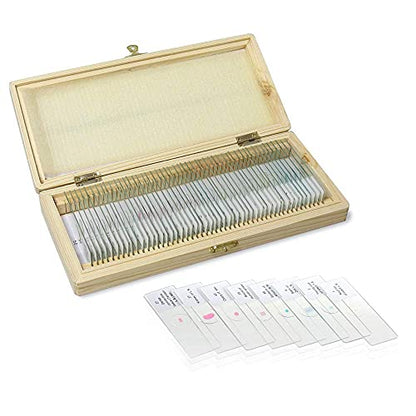 50PCS Microscope Slides with Specimens with Wooden Box, LVQ091 - color: 50PCS