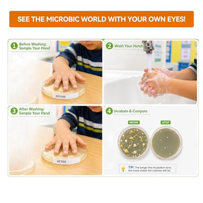 Kids Bacteria Handprint Kit - 2 Giant 150mm Prepoured Agar Petri Dishes - color: Kids Bacteria Handprint Kit
