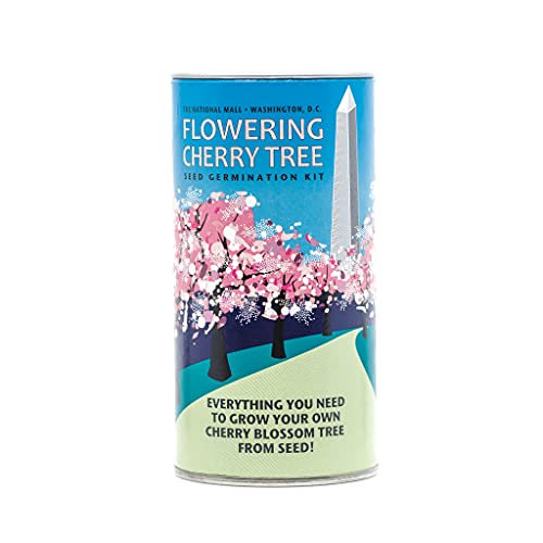 Washington D.C. Cherry | Tree Seed Grow Kit | The Jonsteen Company