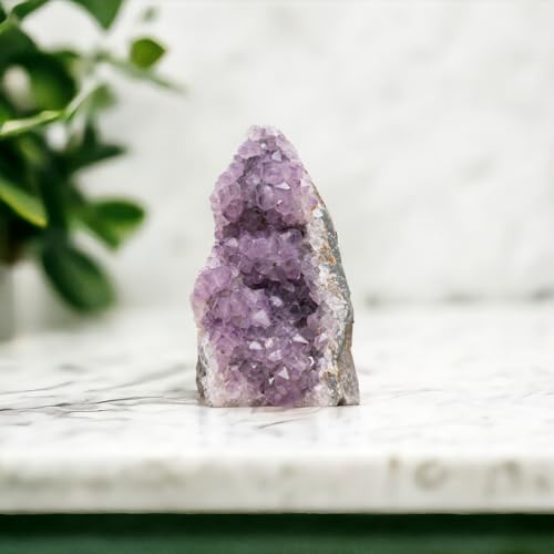 0.5 to 1 Lb Amethyst Crystal Geode From Uruguay – 2.5" to 4" Height, Natural Large Amethyst Cluster Rock – Crystals and Healing Stones - style: 0.5 lb to 1 lb
