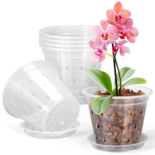 FUIJOL Orchid Pot, 6 Pack 4 Inch Clear Orchid Pots with Holes and Saucers for Repotting, Breathable Slotted Plastic Orchid Planters with Drainage for Root Health Indoor Outdoor - size: 4 Inch