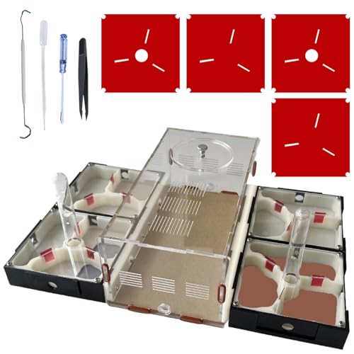 Ant Farm Nest Science DIY Terrarium Kit Care for Live Ants Ant Habitat with Water Tower Nurturing Room and Comprehensive Observation-Set 5 - size: 5