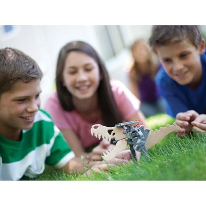 4M Green Science Solar Robot Kit, DIY Walking Robot STEM Toy for Kids 5+