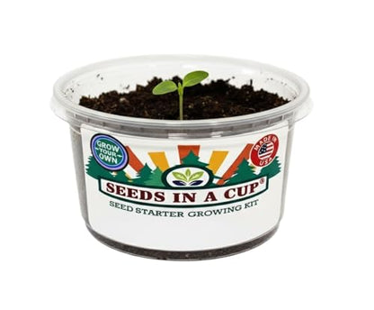 Seeds In A Cup- Tree Growing Kit (Pomegrante)- Plastic Planter - style: Pomegrante