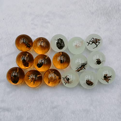 Multiple Psc Spherical Insect Amber Fossil, Spherical Luminous Insect Specimen, Educational and Scientific Amber Collection (8Pcs)