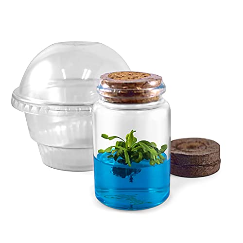 Venus Flytrap Kit, Live Venus Fly Trap Terrarium Included/DIY Beginner Friendly Starter Kit, Educational Growing Plant, Exotic Native