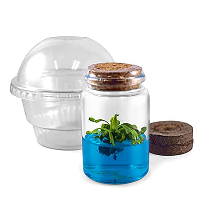 Venus Flytrap Kit, Live Venus Fly Trap Terrarium Included/DIY Beginner Friendly Starter Kit, Educational Growing Plant, Exotic Native